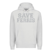 Dove Grey save ferris Premium Hoodie - artisFamous