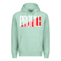 Seafoam profile records Premium Hoodie - artisFamous