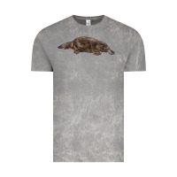 Cloud Rock Platypus Vintage Tee - LillyAllenDesigns