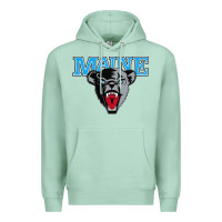 Seafoam maine black bears premier Premium Hoodie - artisFamous