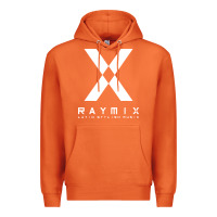Carrot raymix latin stylish Premium Hoodie - artisFamous