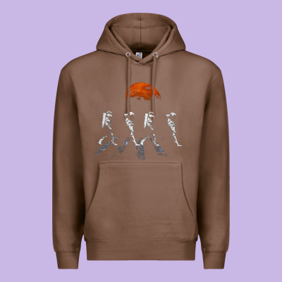 Solar System Galaxy, Astronomy Lover Premium Hoodie Designed By Artisfamous