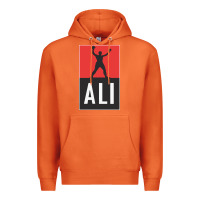 Carrot ali the legend Premium Hoodie - artisFamous