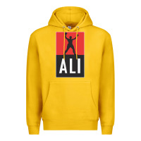 Lemon ali the legend Premium Hoodie - artisFamous