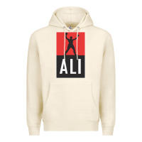 Tofu ali the legend Premium Hoodie - artisFamous