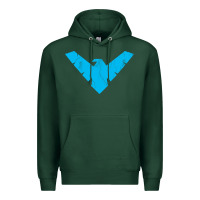 Sports Green nightwing Premium Hoodie - artisFamous