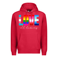Cardinal lgbt pride rainbow love lgbtq pride Premium Hoodie - artisFamous