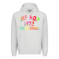 Dove Grey hip hop 1972 south bronx Premium Hoodie - artisFamous