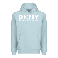 Blue Mist dknys Premium Hoodie - artisFamous