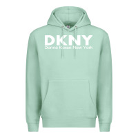 Seafoam dknys Premium Hoodie - artisFamous