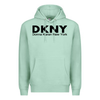 Seafoam dknys Premium Hoodie - artisFamous