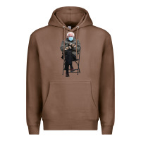 Chestnut bernie sitting in the cold with mittens meme Premium Hoodie - artisFamous