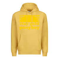 Antique Gold stay gold ponyboy the outsiders movie book Premium Hoodie - artisFamous
