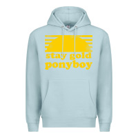 Blue Mist stay gold ponyboy the outsiders movie book Premium Hoodie - artisFamous