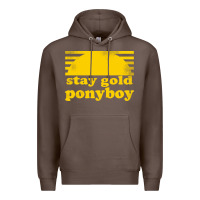 Coffee stay gold ponyboy the outsiders movie book Premium Hoodie - artisFamous