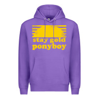 Purple stay gold ponyboy the outsiders movie book Premium Hoodie - artisFamous