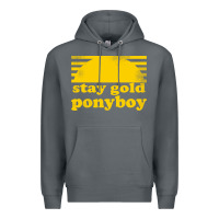 Rock stay gold ponyboy the outsiders movie book Premium Hoodie - artisFamous