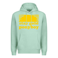 Seafoam stay gold ponyboy the outsiders movie book Premium Hoodie - artisFamous