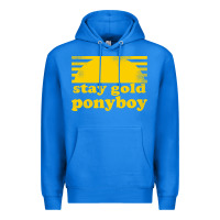 True Royal stay gold ponyboy the outsiders movie book Premium Hoodie - artisFamous