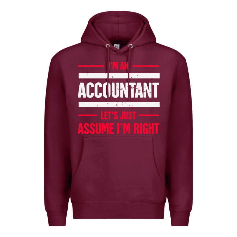 Funny Accounting Design   Gift For Accountants Premium Hoodie by artisFamous | Teevron