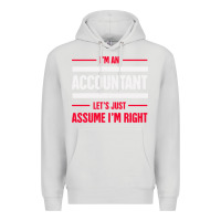 Dove Grey funny accounting design   gift for accountants Premium Hoodie - artisFamous