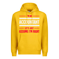 Lemon funny accounting design   gift for accountants Premium Hoodie - artisFamous