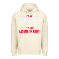Sandshell funny accounting design   gift for accountants Premium Hoodie - artisFamous