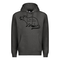 Charcoal Heather I Ate All Your Money Premium Hoodie - artisFamous