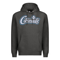 Charcoal Heather citronauts Premium Hoodie - artisFamous