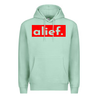 Seafoam alief texas represent Premium Hoodie - artisFamous