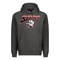 Charcoal Heather old sabers Premium Hoodie - artisFamous