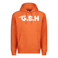 Carrot Charged G.B.H Premium Hoodie - artisFamous