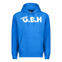 True Royal Charged G.B.H Premium Hoodie - artisFamous