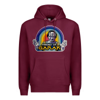 Burgundy friend of garak Premium Hoodie - artisFamous