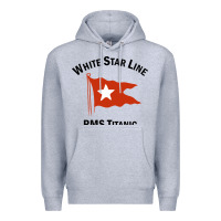 Heather Grey white star line (1) Premium Hoodie - artisFamous