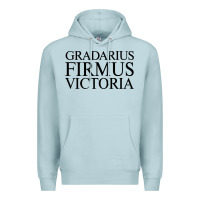 Blue Mist gradarius firmus victoria Premium Hoodie - artisFamous