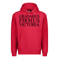 Cardinal gradarius firmus victoria Premium Hoodie - artisFamous