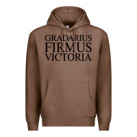 Chestnut gradarius firmus victoria Premium Hoodie - artisFamous