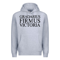 Heather Grey gradarius firmus victoria Premium Hoodie - artisFamous
