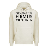Oatmeal Heather gradarius firmus victoria Premium Hoodie - artisFamous