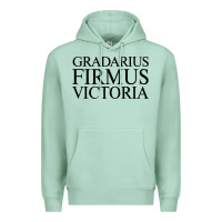 Seafoam gradarius firmus victoria Premium Hoodie - artisFamous