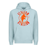 Blue Mist italian stallion Premium Hoodie - artisFamous