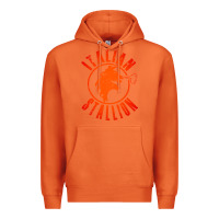 Carrot italian stallion Premium Hoodie - artisFamous