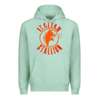 Seafoam italian stallion Premium Hoodie - artisFamous