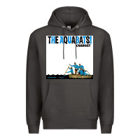 Smoke the aquabats charge Premium Hoodie - artisFamous