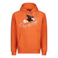 Carrot Lovejoy Are you alright Premium Hoodie - artisFamous