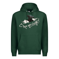 Sports Green Lovejoy Are you alright Premium Hoodie - artisFamous