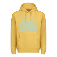 Antique Gold the aquabats Premium Hoodie - artisFamous
