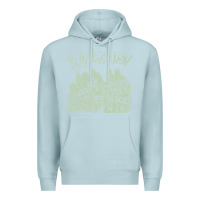 Blue Mist the aquabats Premium Hoodie - artisFamous