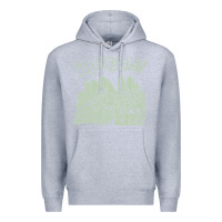 Heather Grey the aquabats Premium Hoodie - artisFamous